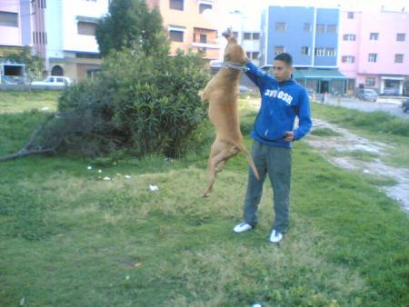 guti and jamal