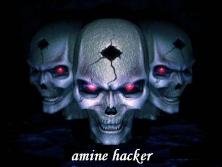 amine hacker ( moi)